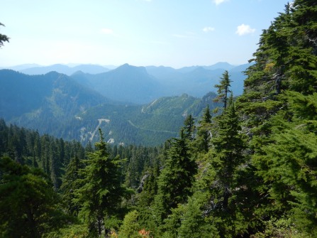view of mountains and forest