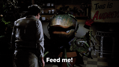 GIF from Little Shop of Horrors. Plant says "Feed Me!" while Seymour looks at it.