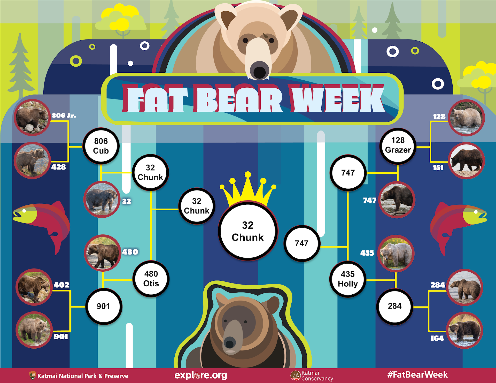 Fat Bear Week bracket. Four bears (806 cub vs 428; 402 vs 901) in two first round matches on left. Two bears (32 and 480) are in bye round on left. Four bears (128 Grazer vs 151; 284 vs 164) in two first round matches on right. Two bears (747 and 435) are in bye round on right. Graphical cartoon bears fill the top and bottom center of the bracket.