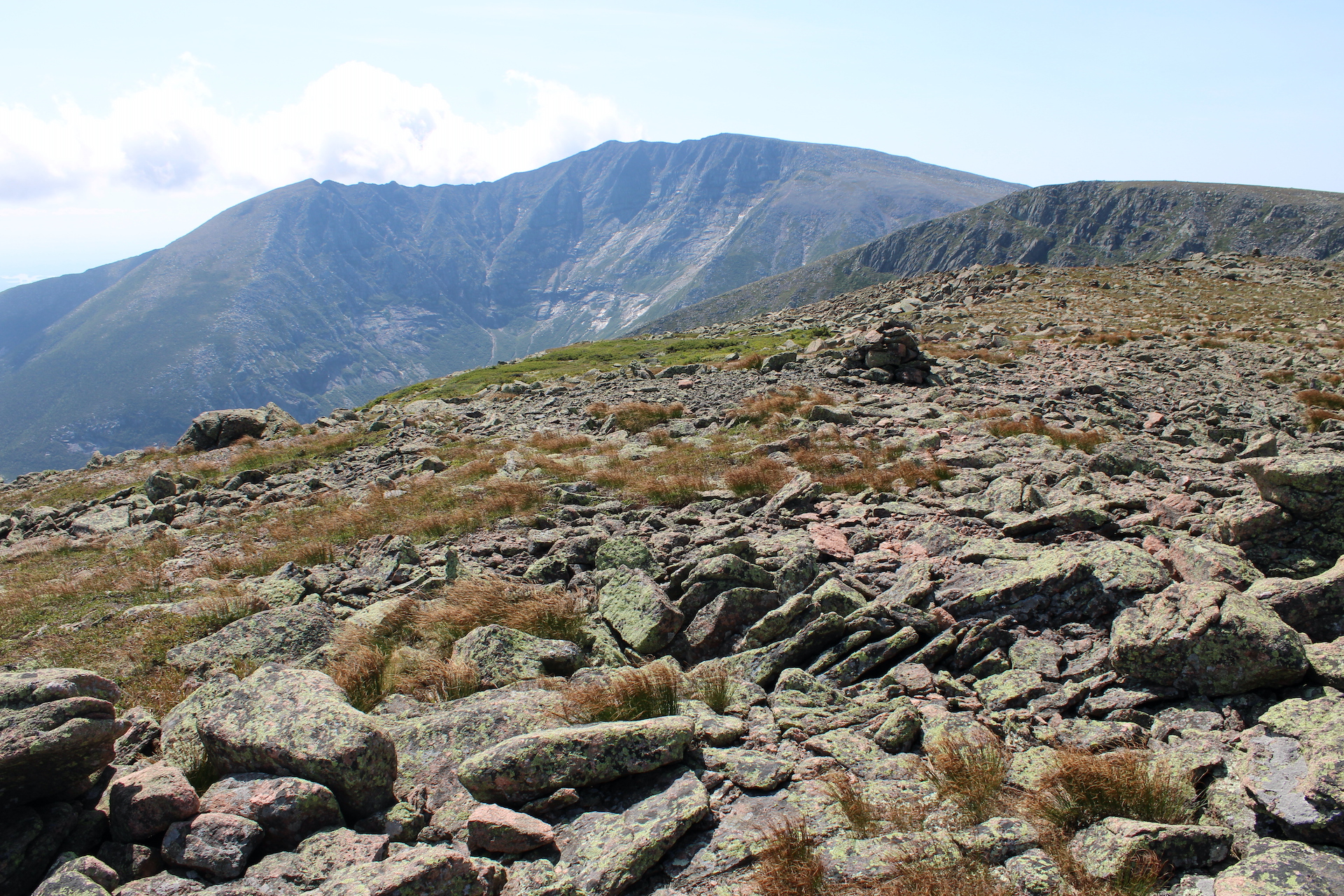 View of boulder field and alpine vegetation (mostly small sedges tucked between the rocks) looking toward a taller mountain peak in the background.