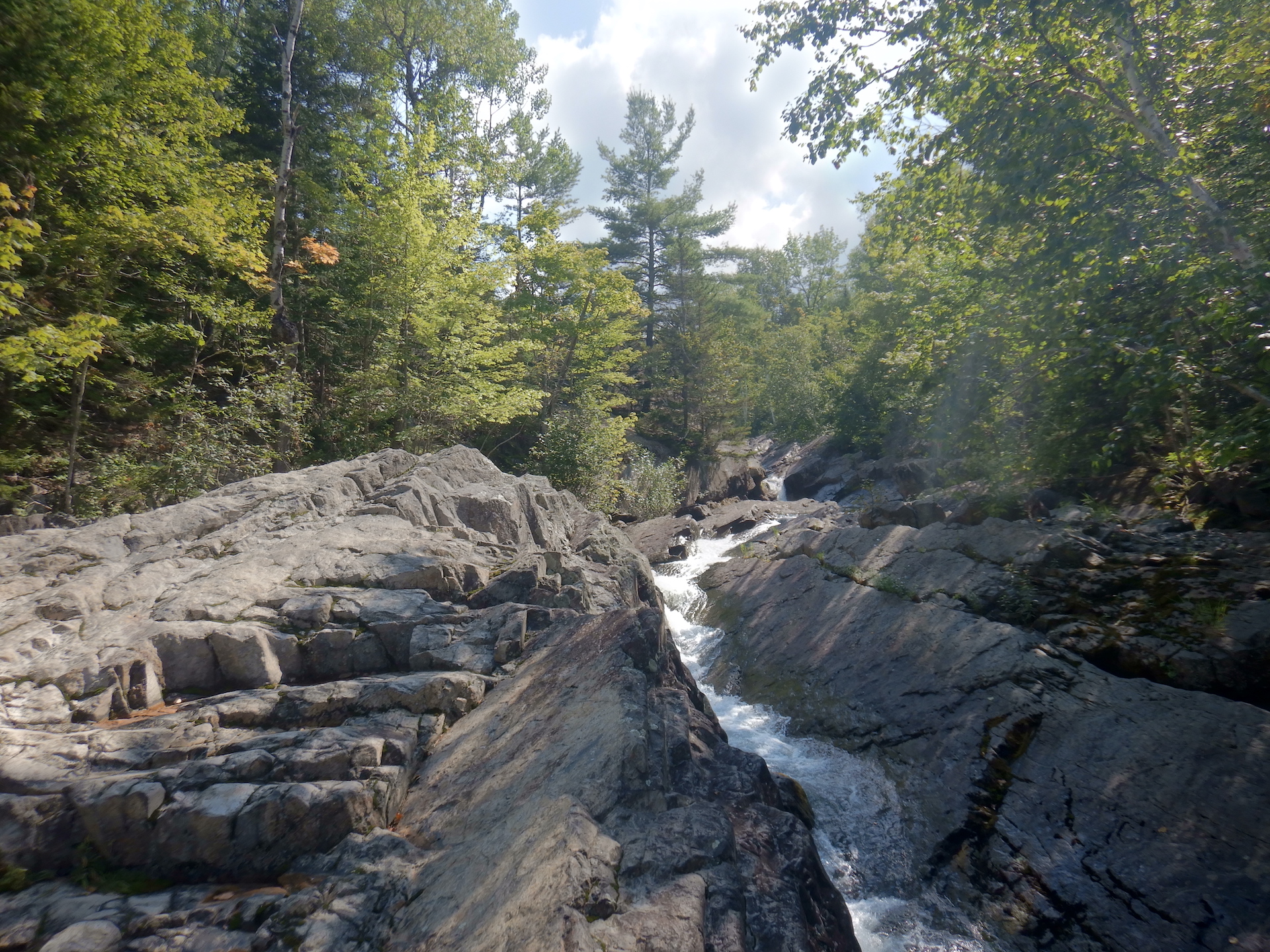 A stream flows through a narrow chute carved into bedrock. The stream flows from center to bottom right. Deciduous trees and some white pines overtop the stream and trees.