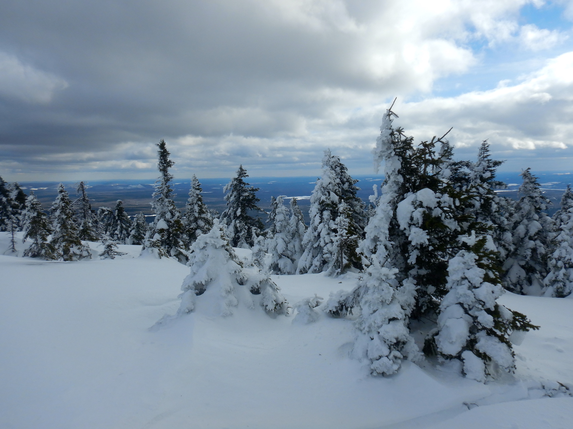 View from a mountain of a forested landscape. Only a sliver of the lowlands are visible. Snow and trees fill the fore and middle ground. The trees are snow covered, especially on their left side.