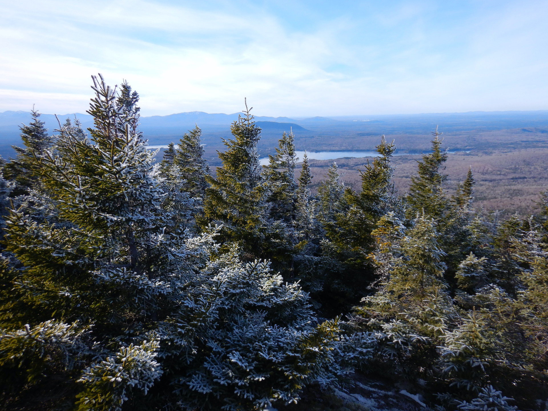 View of forested landscape. Lightly frosted spruce and fir fill the foreground. A lake is visible at center in the lower elevation forest. A ridge of mountains forms the horizon at left center.