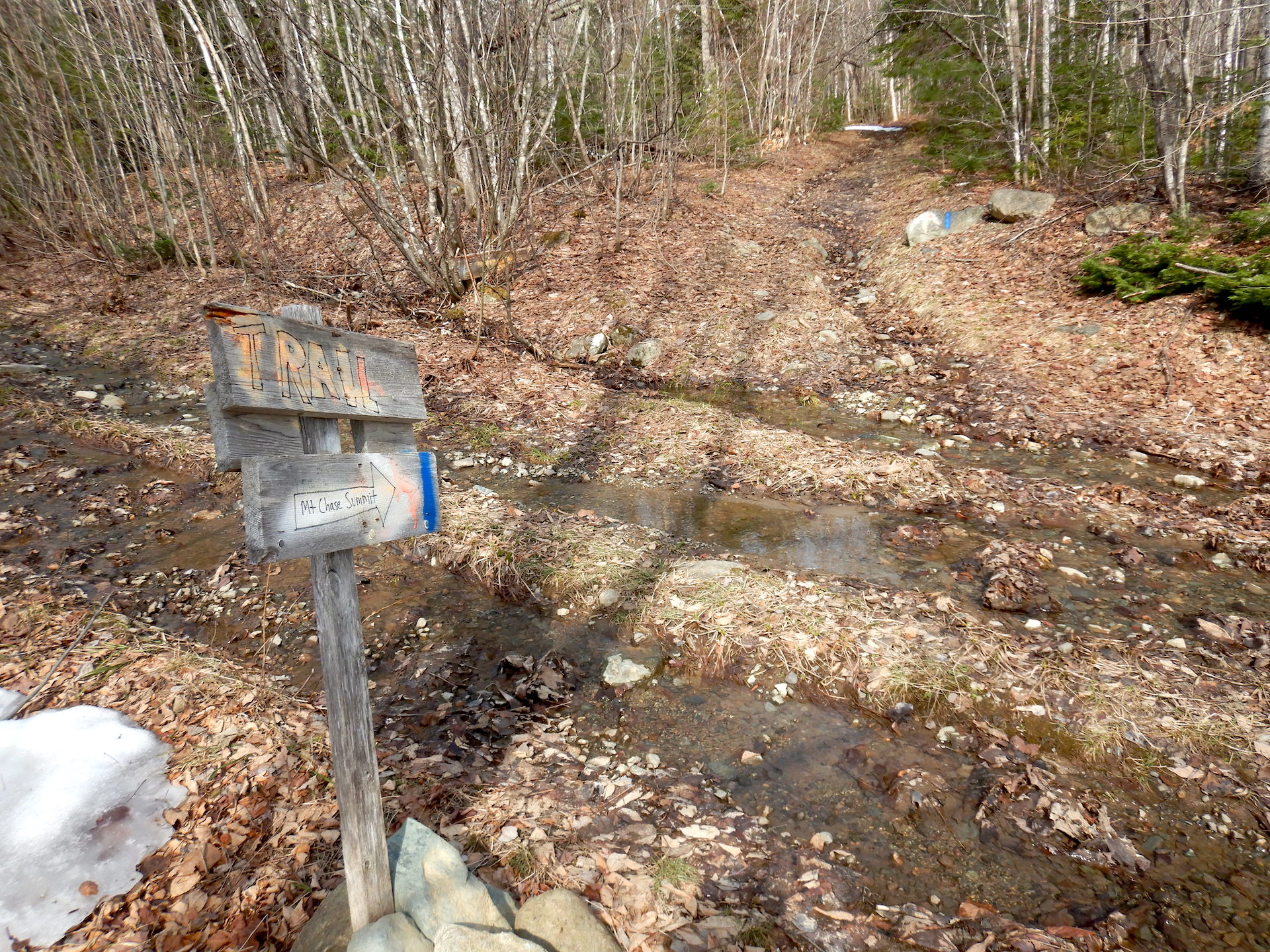 Two trails intersect at lower right. Both have water flowing on them. A sign at left points to the center of the photo. The sign is mounted on a post has a homemade look. It says "trail." An arrow points to the right toward the trail. Both "trail" and the arrow are outlined in permanent marker.