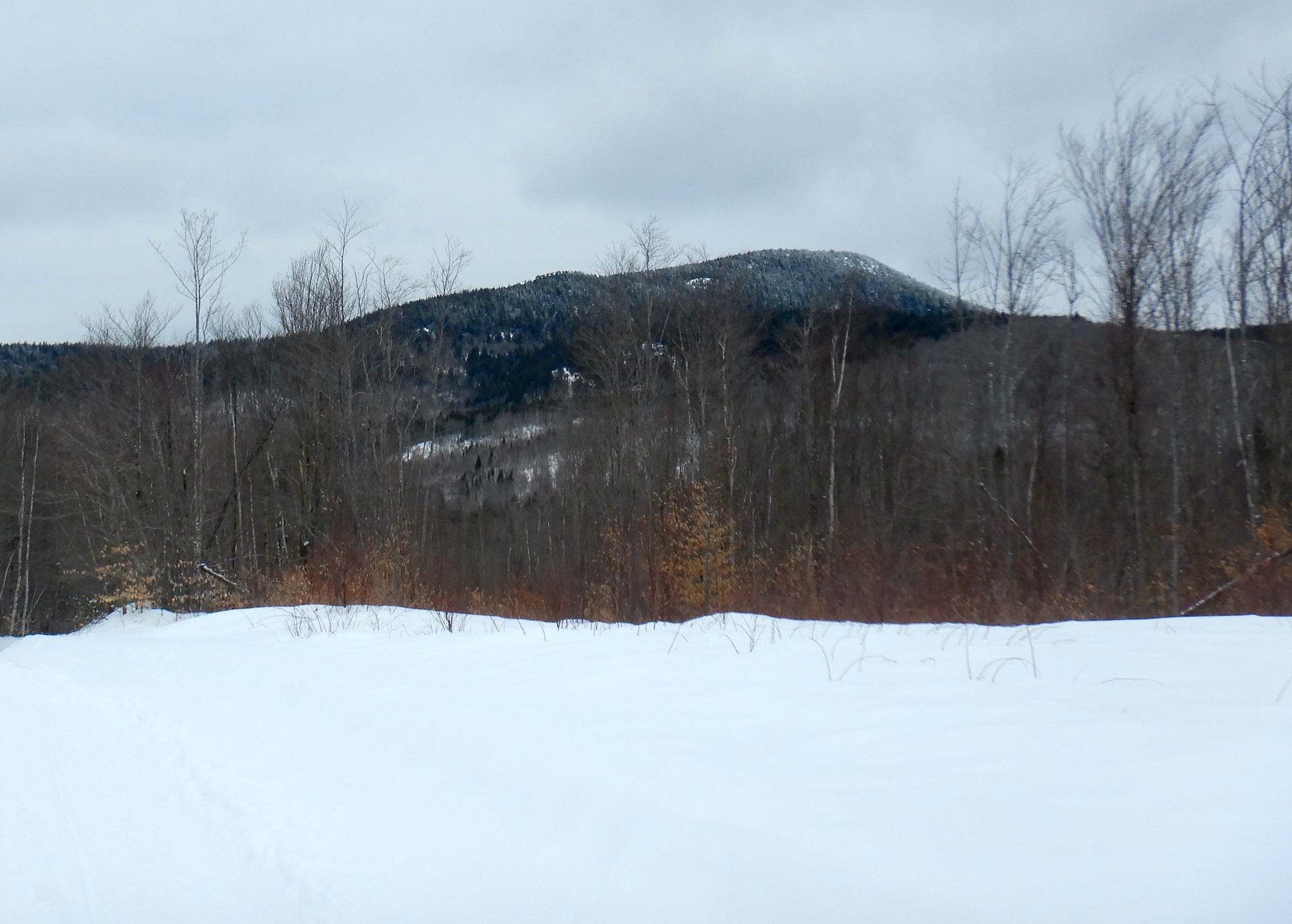 View of mountain from a low elevation. The mountain is covered in trees that transition from deciduous to coniferous from low to high. The foreground is snow covered.