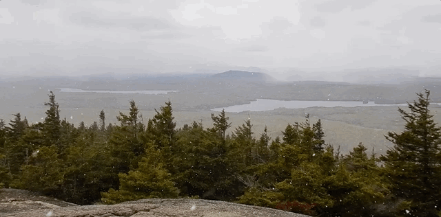 GIF of landscape view from a mountain top. Stunted spruce and fir fill the foreground. Forested lowlands fill the middle ground to the cloud obscured horizon. Snow flakes fall in the air.